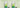 Bottles of Enzymes and Enzymes+ from New Earth on a green background