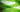 Zoomed in view of microscopic algae.