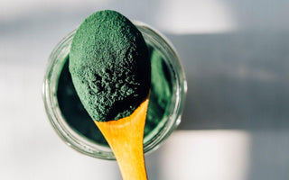 Wooden spoon full of green algae powder held above the container the powder was scooped from. 