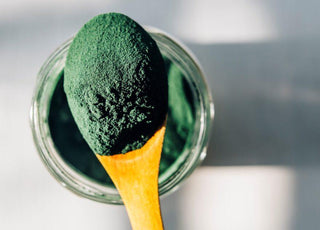 Wooden spoon full of green algae powder held above the container the powder was scooped from. 