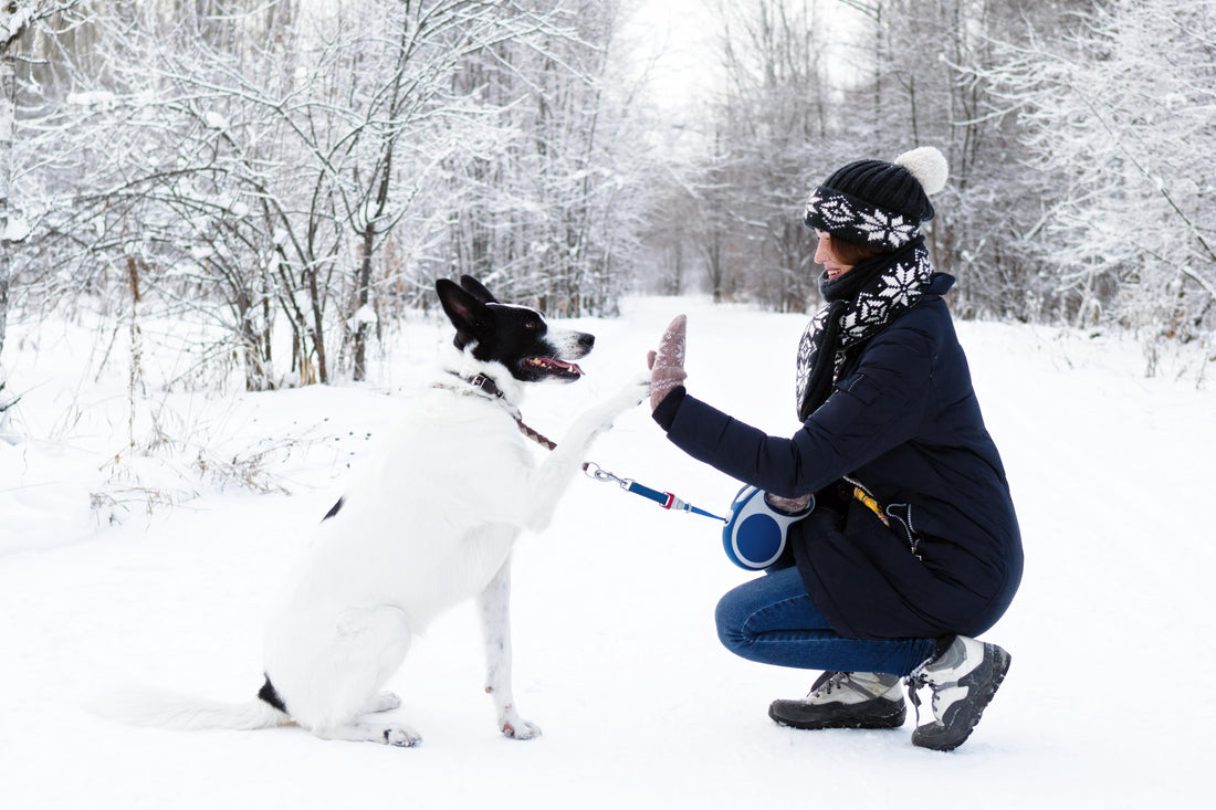 Woman high-fiving her dog while on a snowy winter walk.