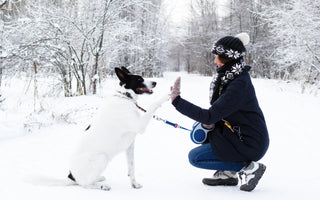 Woman high-fiving her dog while on a snowy winter walk.