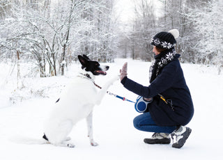 Woman high-fiving her dog while on a snowy winter walk.