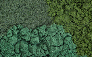 Close up of three different algae powders that are all slightly different shades of green.