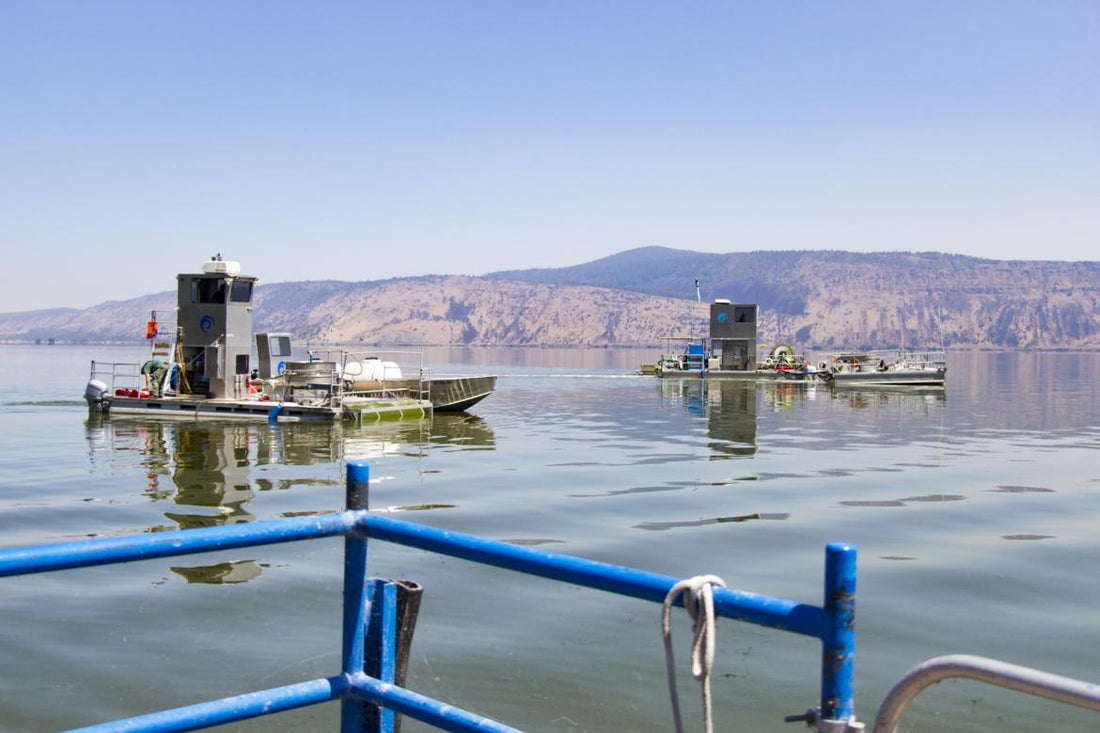 Two New Earth harvesters on Klamath Lake as seen from the third of the company's harvesters. 