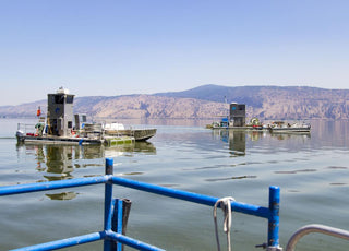 Two New Earth harvesters on Klamath Lake as seen from the third of the company's harvesters. 