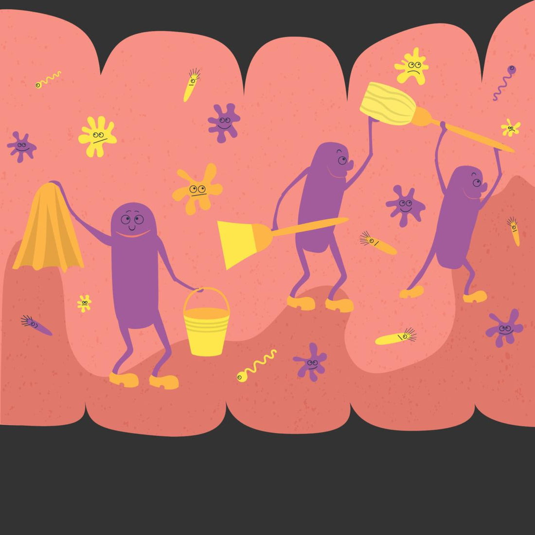 Illustration of microbes cleaning the inside of the human digestive tract.
