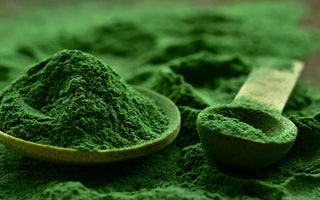 Close up of dark green alge powder with two wooden spoons laying in it. 