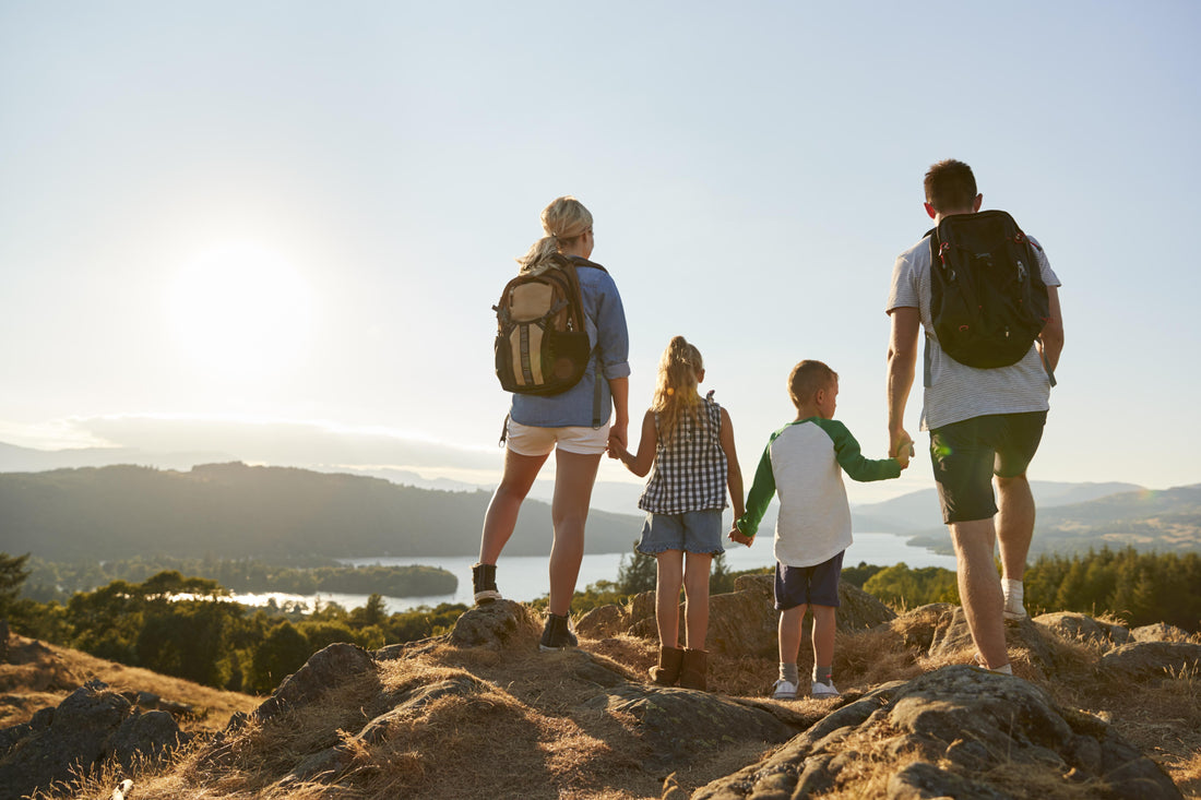 Family of four holding hands and enjoying the view from the top of the hill they just hiked.