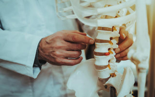 Hand pointing to a point on the spine of a skeleton model.