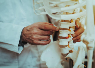 Hand pointing to a point on the spine of a skeleton model.