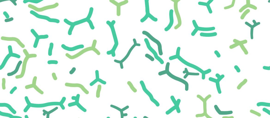 An illustration of green and blue strains of probiotics as if under a microscope.