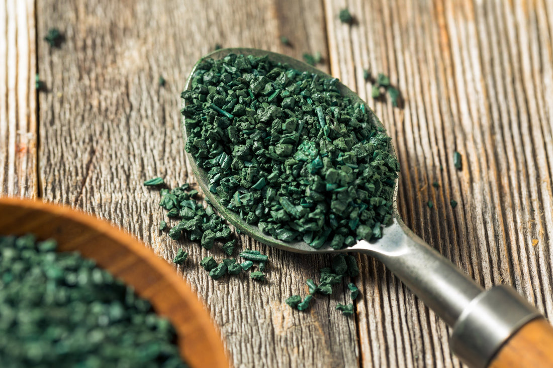Spoon filled with raw green organic algae powder