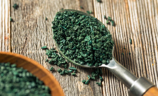 Spoon filled with raw green organic algae powder