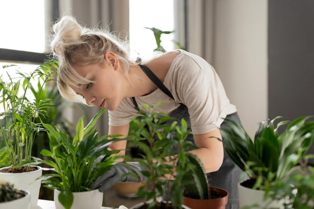 Young adult woman tending to her indoor plants.