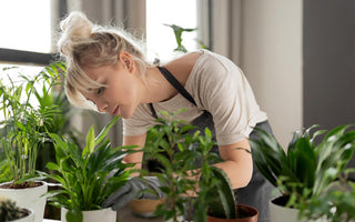 Young adult woman tending to her indoor plants.