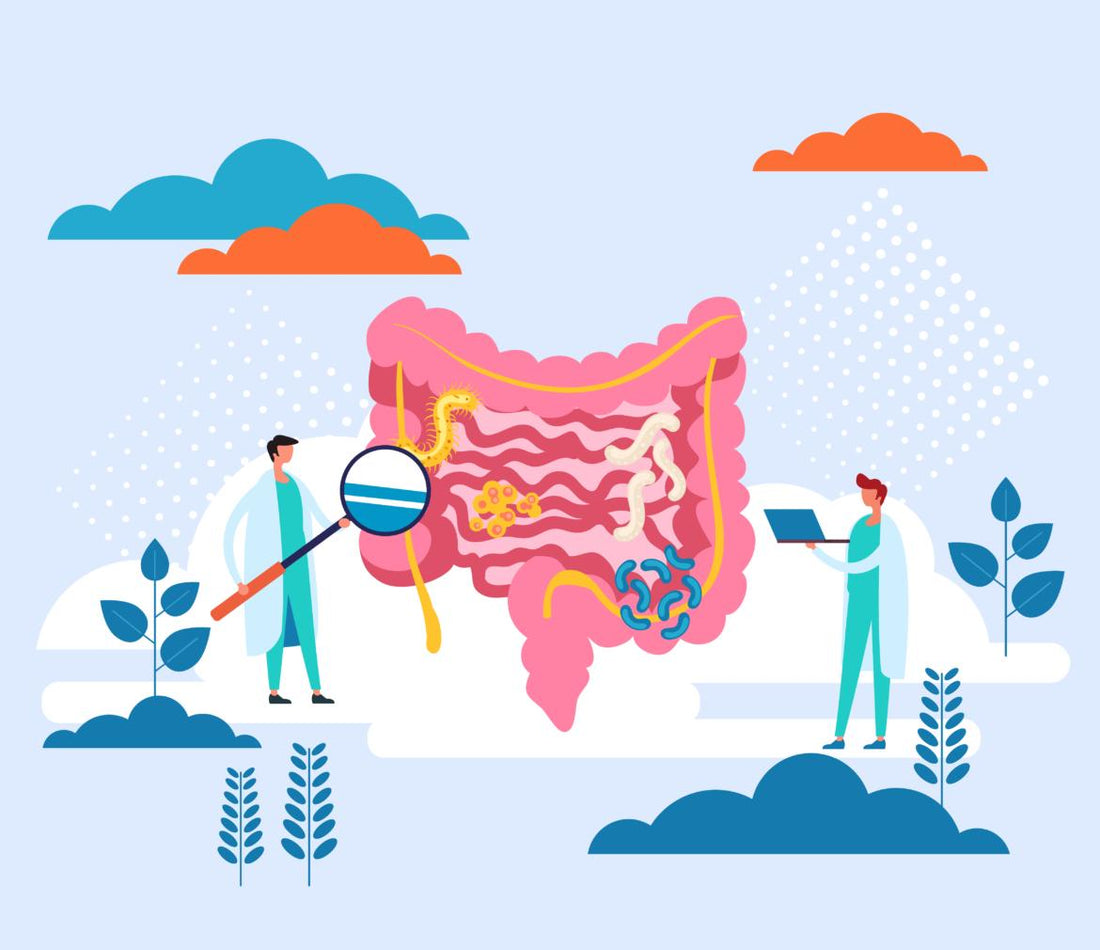 Illustration of two scientists examining a large replica of the human digestive system with a magnifying glass.