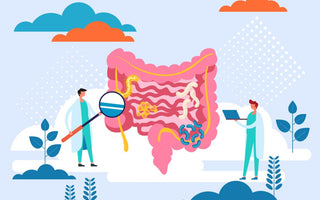 Illustration of two scientists examining a large replica of the human digestive system with a magnifying glass.