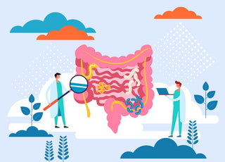 Illustration of two scientists examining a large replica of the human digestive system with a magnifying glass.