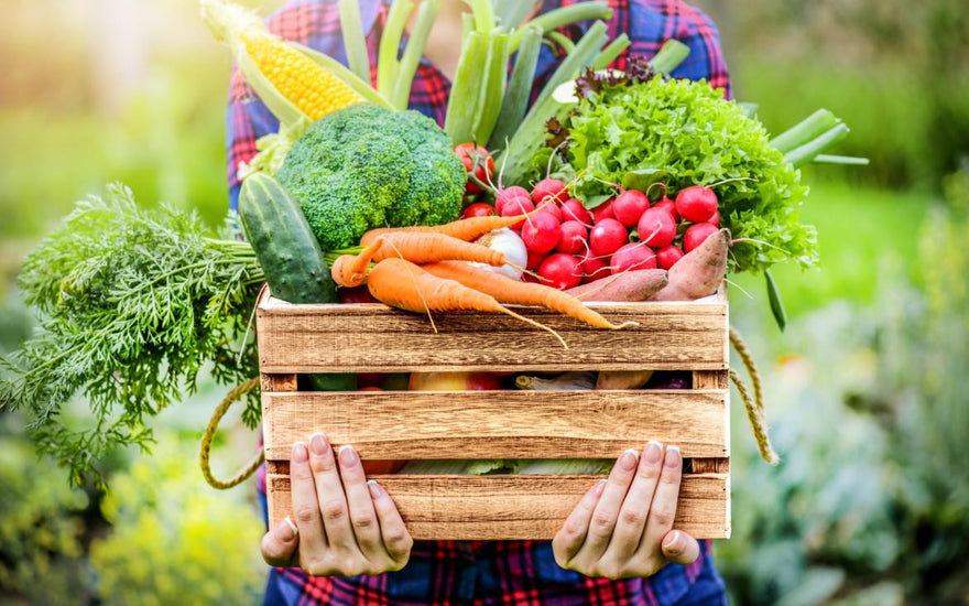 Person in a red and blue plaid shirt holding a wooden crate full of fresh vegetables.