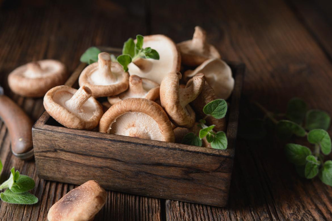 Wooden crate filled with fresh mushrooms.