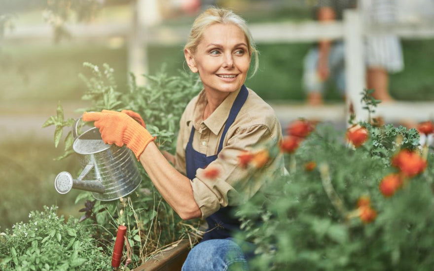 Middle-aged woman using a metal watering can to water her flower garden.