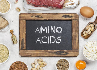 Chalkboard with amino acids written on it laying on a table with protein-rich foods surrounding it.