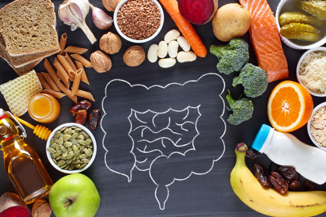 Image of the gut drawn in chalk on a black background. The drawn image is surrounded by healthy foods including salmon, fruits, vegetables, and whole wheat pasta.