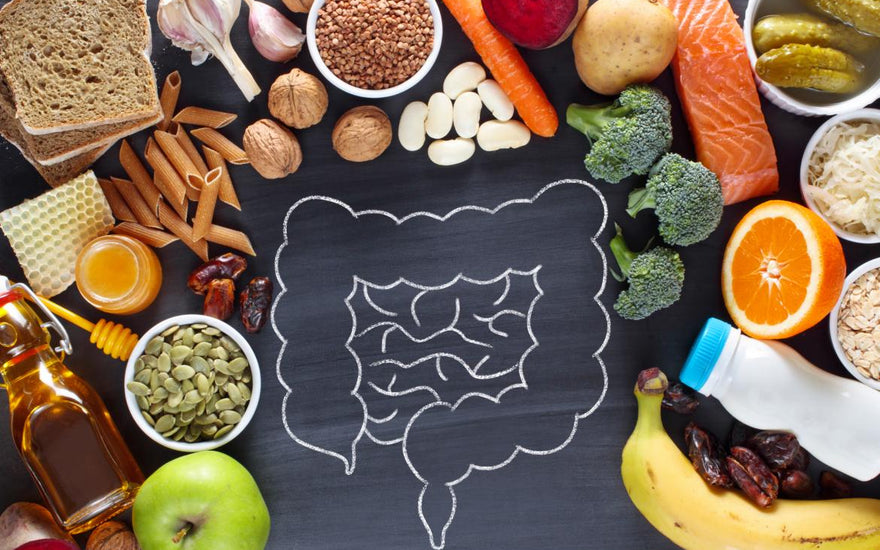 Image of the gut drawn in chalk on a black background. The drawn image is surrounded by healthy foods including salmon, fruits, vegetables, and whole wheat pasta.