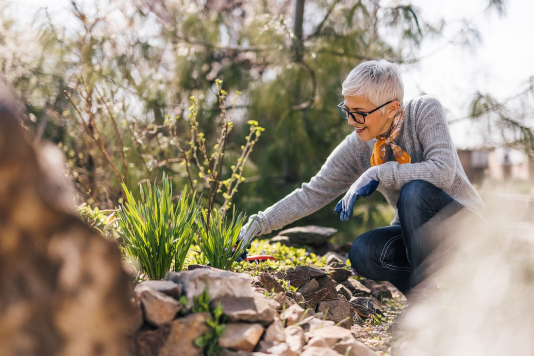 Older woman with short grey hair kneeling next to her flower garden to trim one of the plants.