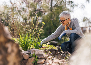 Older woman with short grey hair kneeling next to her flower garden to trim one of the plants.