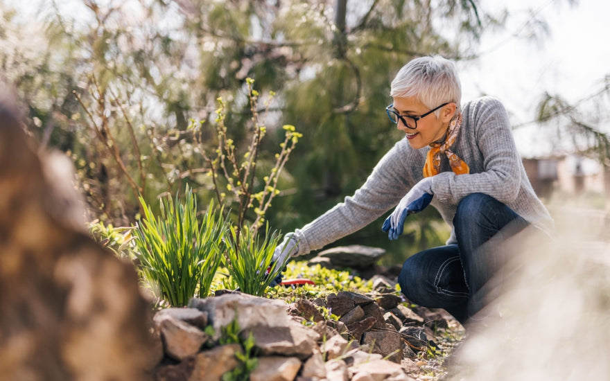 Older woman with short grey hair kneeling next to her flower garden to trim one of the plants.