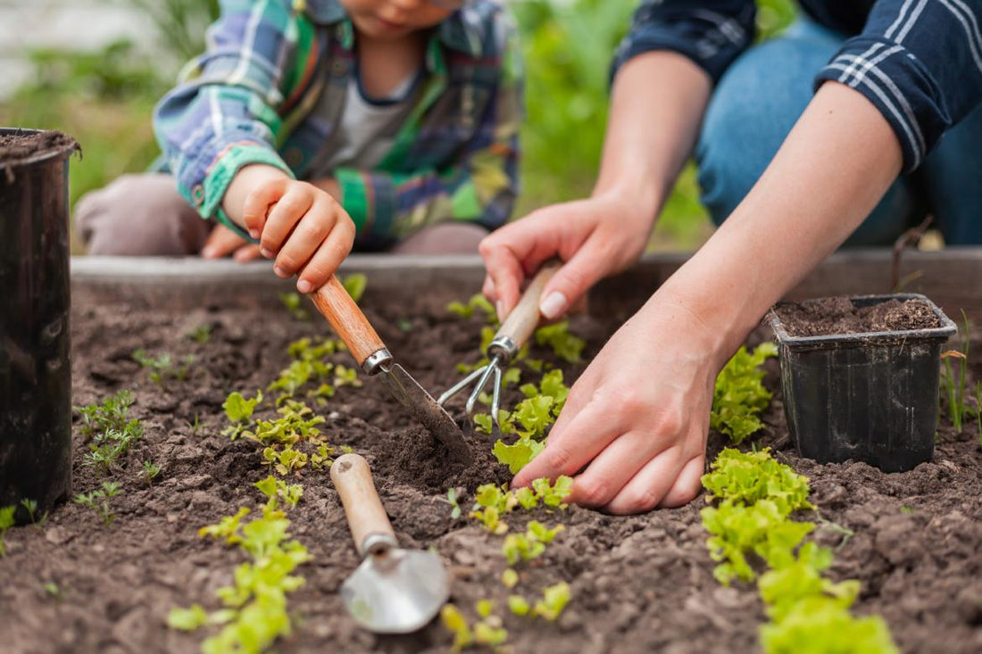 A child and an adult kneeling next to a raised garden bed planting vegetable starts together.
