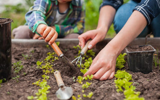 A child and an adult kneeling next to a raised garden bed planting vegetable starts together.