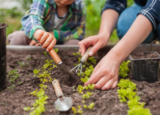 A child and an adult kneeling next to a raised garden bed planting vegetable starts together.