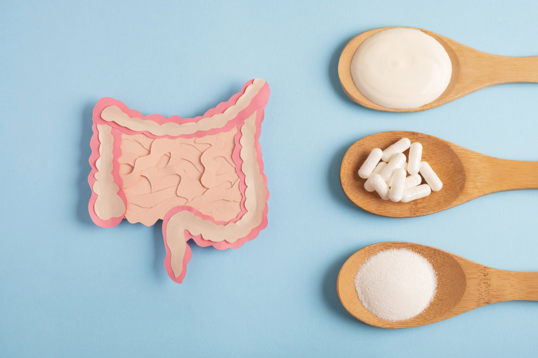Diagram of the human gut made out of pink construction paper sitting on a blue background next to three wooden spoons holding various white gut-healthy items.