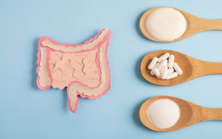 Diagram of the human gut made out of pink construction paper sitting on a blue background next to three wooden spoons holding various white gut-healthy items.