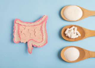 Diagram of the human gut made out of pink construction paper sitting on a blue background next to three wooden spoons holding various white gut-healthy items.