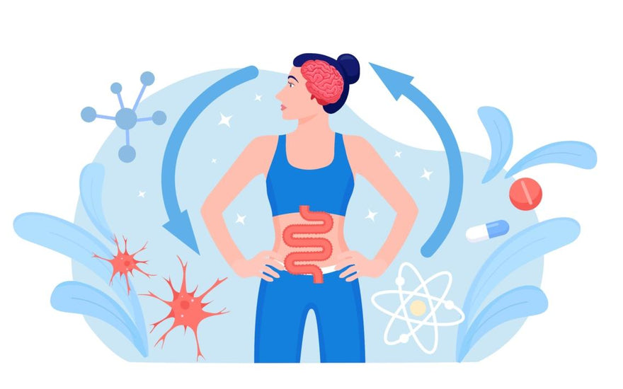 Illustration of a female in workout gear with arrows pointing from her gut to her brain and back again.