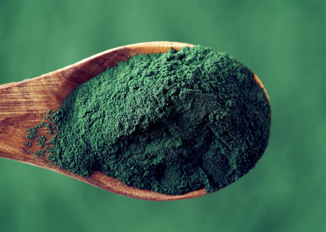 Wooden spoon with a scoop of green algae powder. 