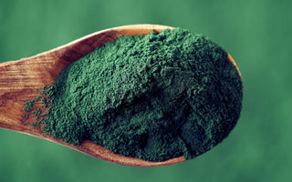 Wooden spoon with a scoop of green algae powder. 