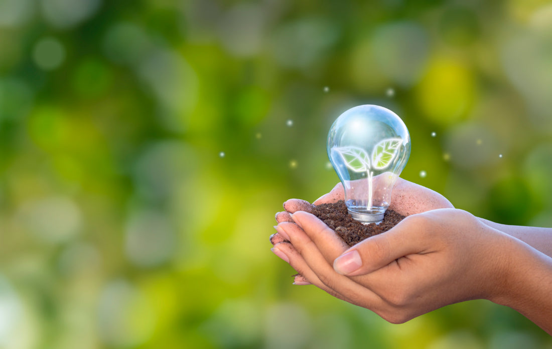Two hands cupped together holding soil and a lightbulb outside.