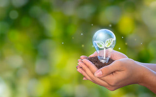 Two hands cupped together holding soil and a lightbulb outside.