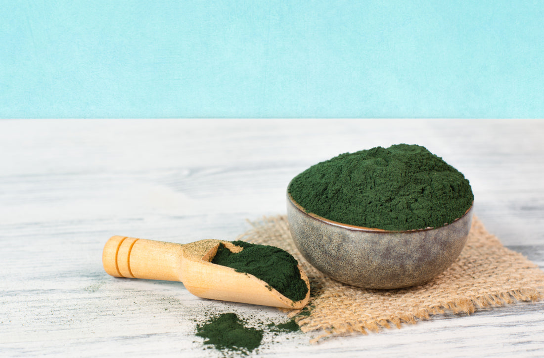 A bowl and scoop full of green algae powder sitting on a grey countertop in front of a light blue wall. 