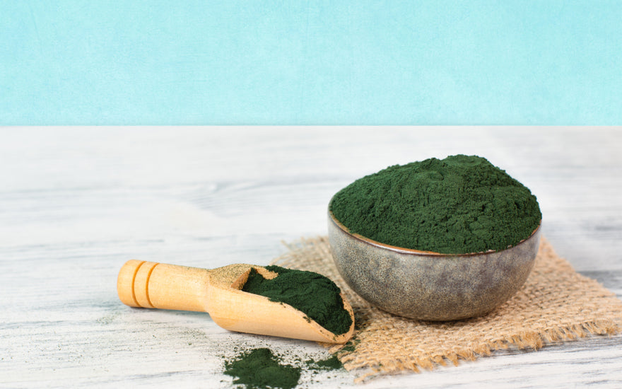 A bowl and scoop full of green algae powder sitting on a grey countertop in front of a light blue wall. 