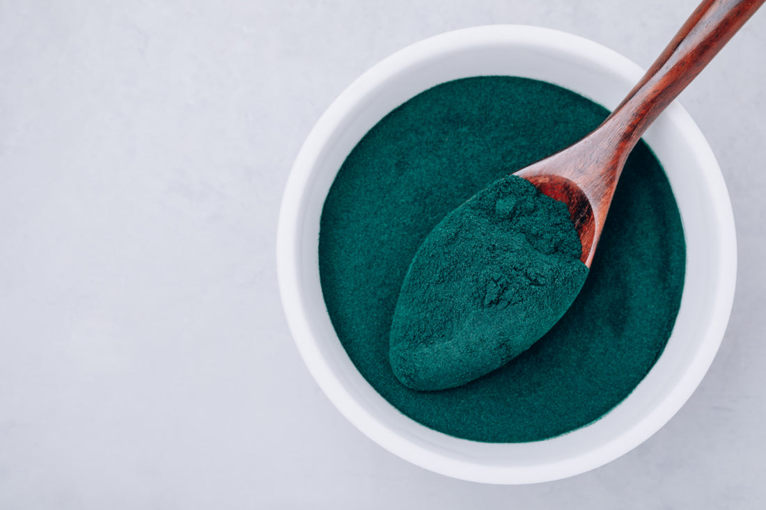 Top-down view of a white bowl and wooden spoon full of green algae powder.