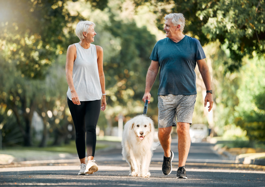 Elderly couple walking their dog down a residential street.