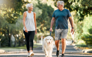 Elderly couple walking their dog down a residential street.