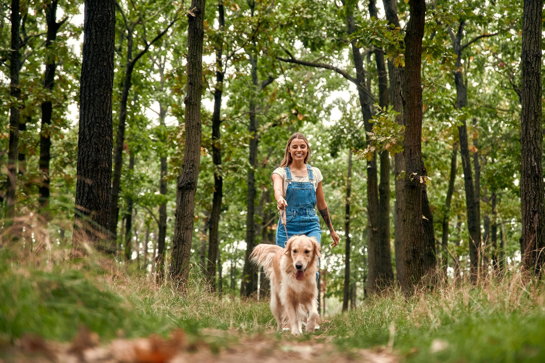 Joyful young woman happily walking her golden retriever in a beautiful lush forest. 