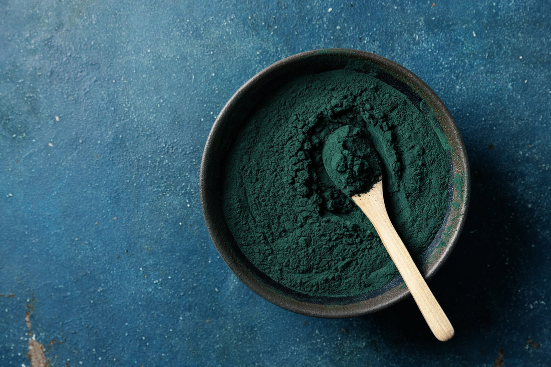 Blue-green algae powder in a bowl on a counter. 